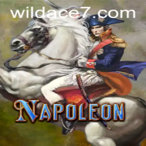 Mastering Napoleon: A Strategic Card Game with a Twist